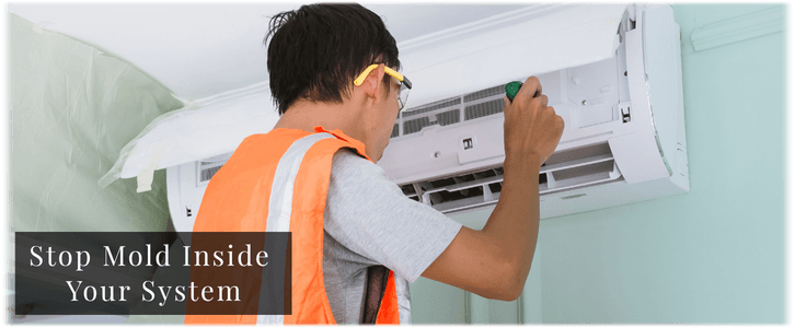 HVAC Mold Removal Houston TX